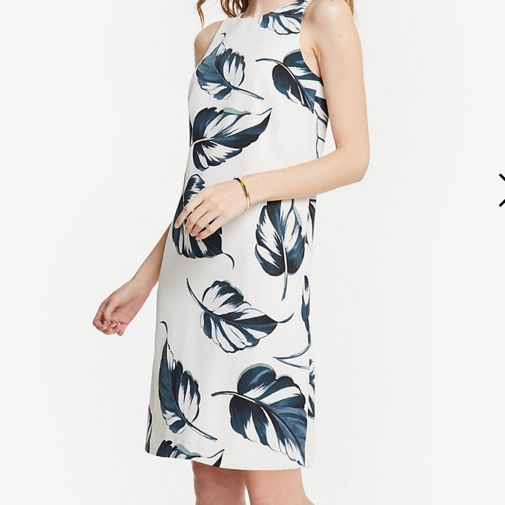 Ann Taylor Dress